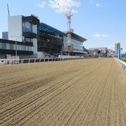 競馬がない日もおすすめです