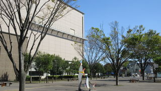 体験を通して学べます