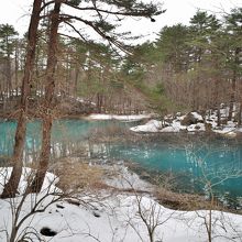 ４月の五色沼