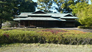 諏訪の茶屋は、皇居の二の丸庭園の中ににあり、風雅なたたずまいで人気の場所です。
