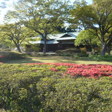 鬱蒼とも思える樹々の中で、赤色の花も映える諏訪の茶屋です。