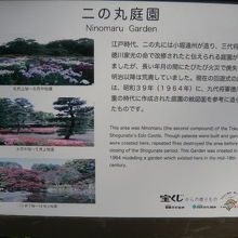 二の丸庭園の美しさに彩りを添えるのは、４月と菖蒲の６月かも。