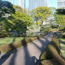 二の丸庭園のつつじが、まだ早い場所があります。先の楽しみです