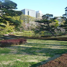 緑の芝生や松の樹々に、二の丸庭園のアクセントを感じています。
