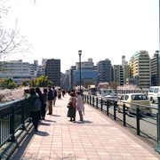 桜の時期は最高