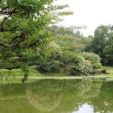 二の丸庭園の池は、日本式庭園の中で、重要な役割を担っています