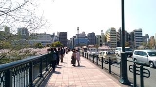 桜の時期は最高