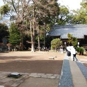 河津にもあった来宮神社