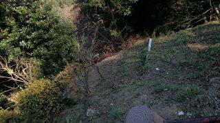 ちょうどいいハイキングコース