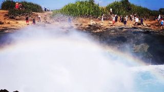 バリリラックスツアーレンボンガン島満喫ツアーに満足