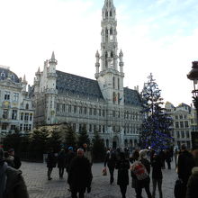 ブラッセル市庁舎とクリスマスツリー