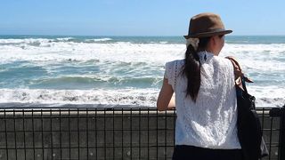 シャチのショーが圧巻です！