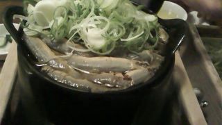 お昼からどぜう