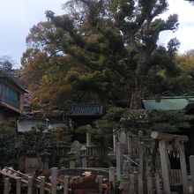 境内社と金山彦神社です