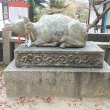 さすり牛と言い受験生の参拝が多い