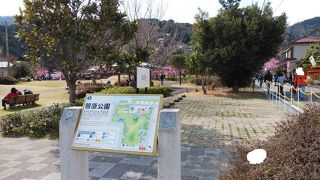 散策に疲れたらちょっと休憩