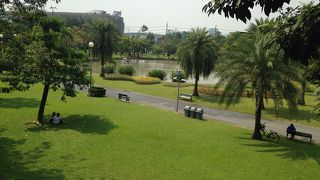 南国のような公園