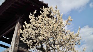 会津藩の歴史に思いをはせる場所