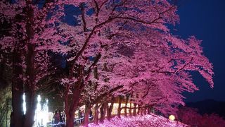 桜の時期がよりお勧めです