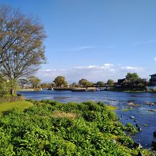 水前寺公園から遊歩道沿いに手軽に江津湖散策が楽しめます