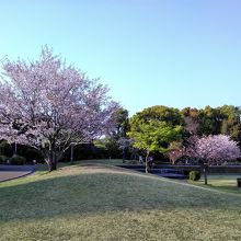 水前寺公園から徒歩2、3分の電車通り沿いにある公園