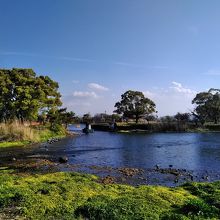 水前寺公園から徒歩15分ほどで上江津湖の景観が開けてきます