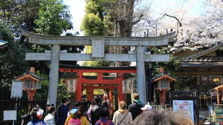 赤い鳥居が外人さんに人気