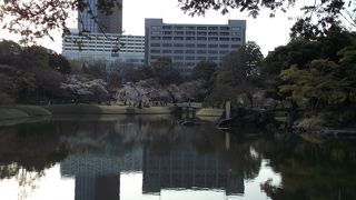 のんびりと景色を楽しむ