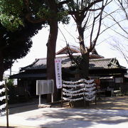 佐倉七福神・福禄寿の石像など見どころの多い神社です