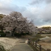 ジョギングに丁度良い距離の公園