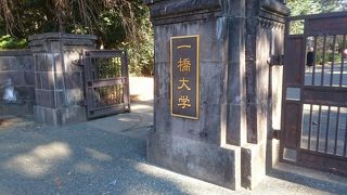 木々がきれいです By P Nao 一橋大学 国立キャンパスのクチコミ フォートラベル 木々がきれいです By P Nao 一橋大学 国立キャンパスのクチコミ フォートラベル