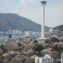 釜山のランドマーク、釜山タワーも目前に望めます