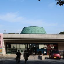 緑が美しいエリアだ