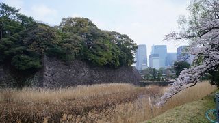 乾通り沿いの大きなお濠