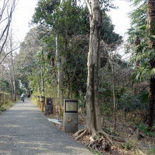 占春園　文京区大塚３丁目２９