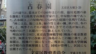 雑木林の通り道