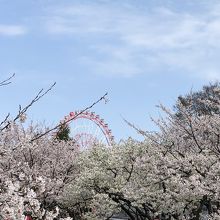 魚津総合公園