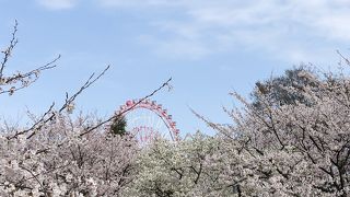 魚津総合公園