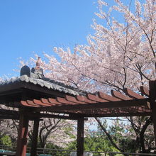 峠付近のあずまやの様子