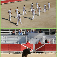 カマルグ式闘牛