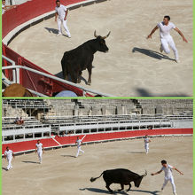 カマルグ式闘牛