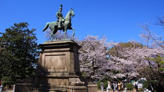 周りの桜も綺麗