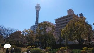 みなとみらい地区の街並みを一望