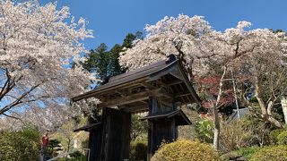 角田市で一番北にある駅です。今の時期、周辺の桜が綺麗です。