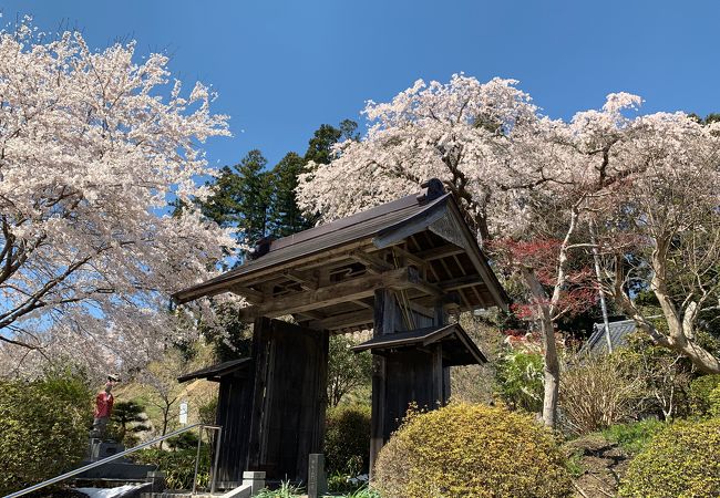 角田市で一番北にある駅です。今の時期、周辺の桜が綺麗です。