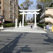駅からの鳥居