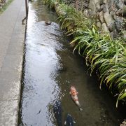 雰囲気のある清流