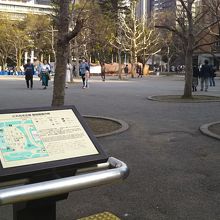 木が茂っていないと広場に見えるが