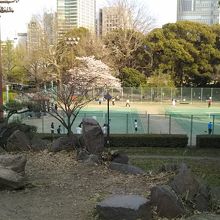 東側はテニスコート越に銀座のビル街の眺望