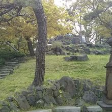 北側からの登山路